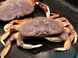 Looks Like You Will Have to Get Your Crabs in Boston Like the Rest of Us. Maybe Baltimore?