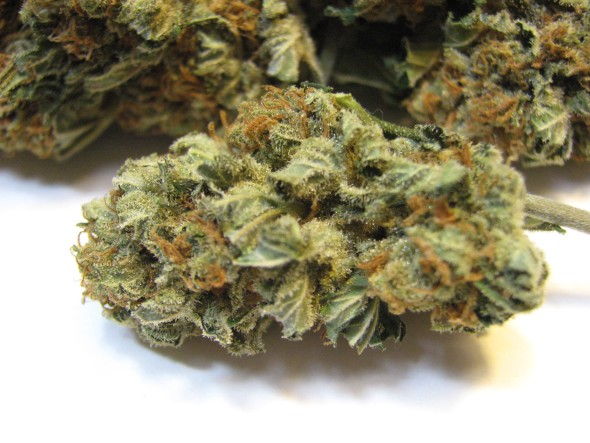 Gotta Know the Facts Before You Blaze