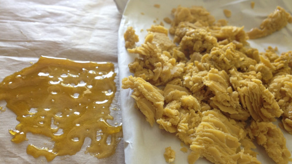 90% THC? What Maniac Approved This for Legalization?!