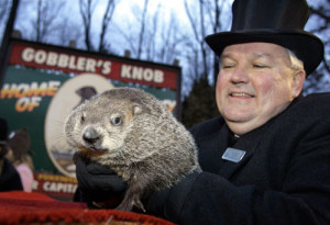 punxsutawney-phil