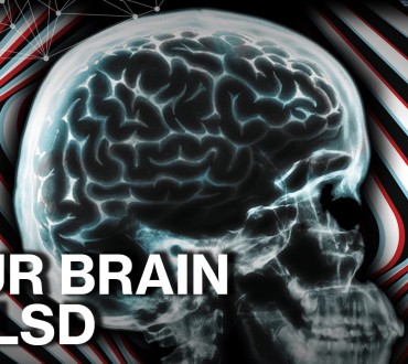 This Is Your Brain on Drugs – Any Questions?