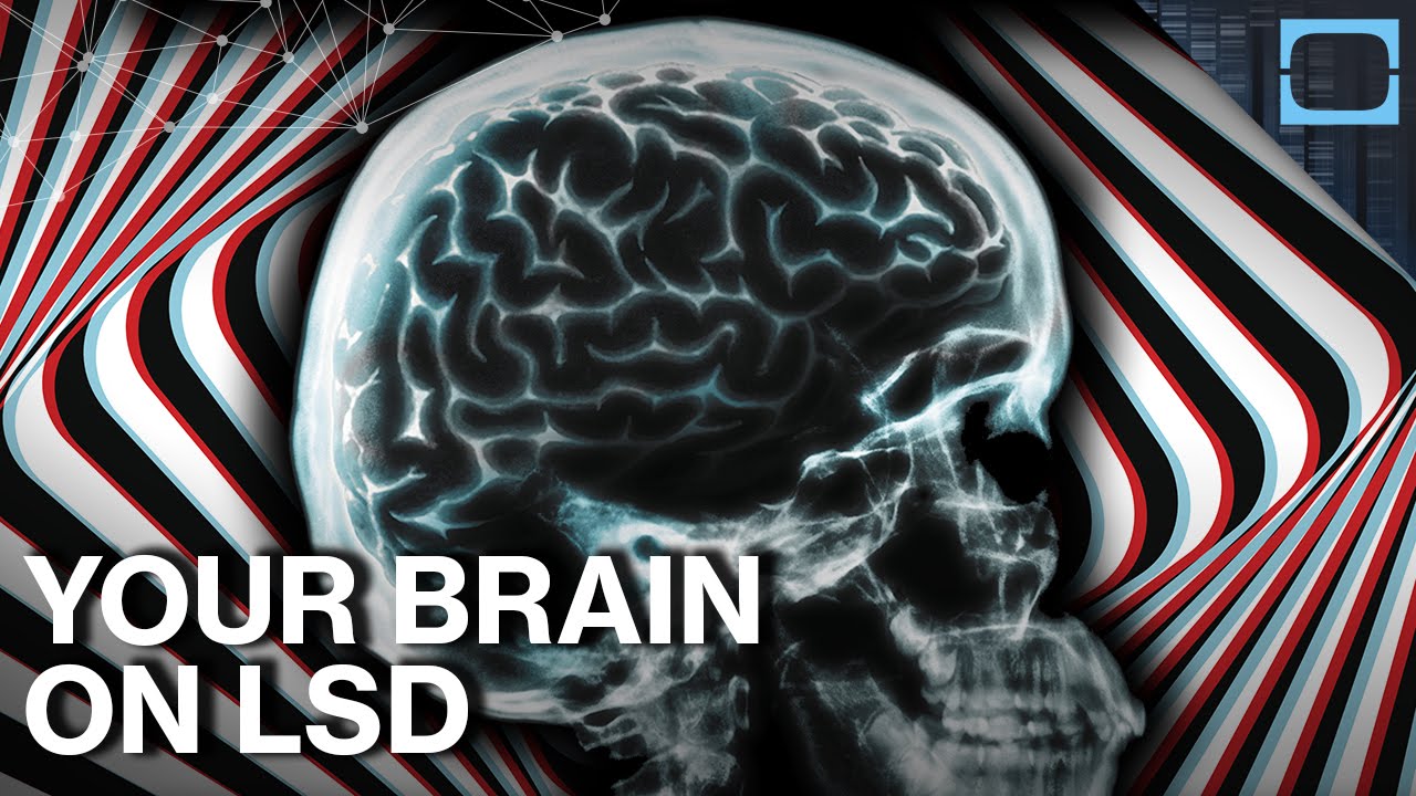 This Is Your Brain On Drugs Gif