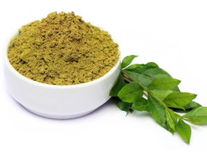 Leaves of Lawsonia inermis with Powdered Lawsone (Henna)