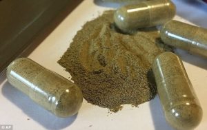 What the Heck is Kratom? 